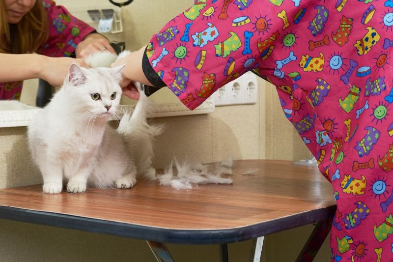 Prevents Painful Matting