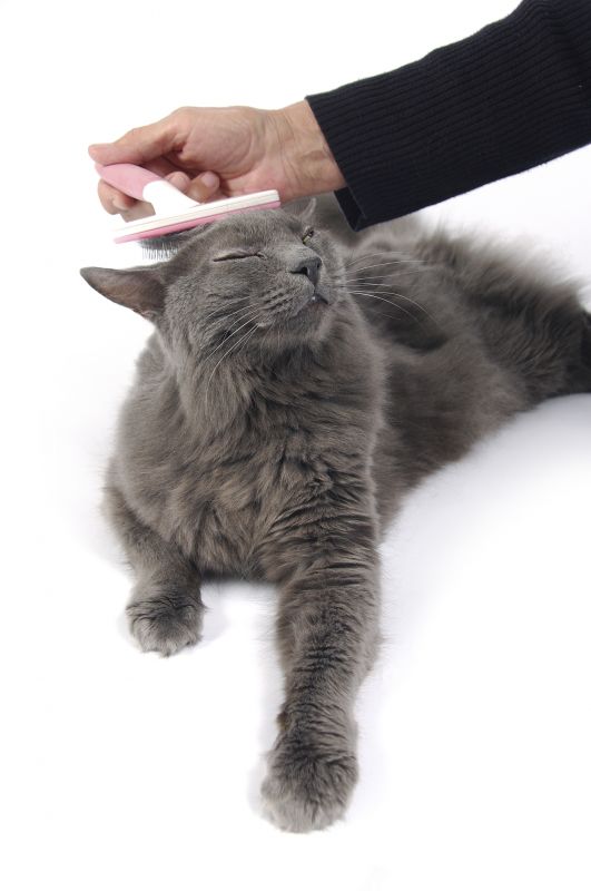 Reduces Shedding and Hairballs